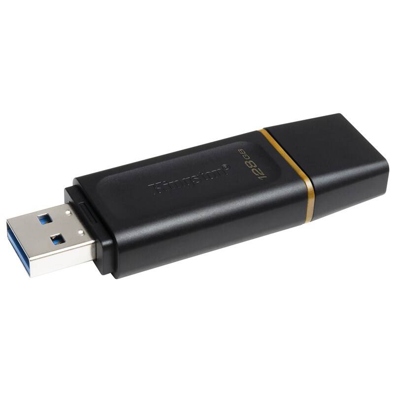 USB Flash Kingston DataTraveler Exodia 128GB (DTX/128GB) černý